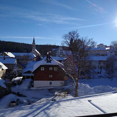 Apartment 358 Mit Sauna, Schwimmbad Und Fitness Schoenwald im Schwarzwald Exterior photo