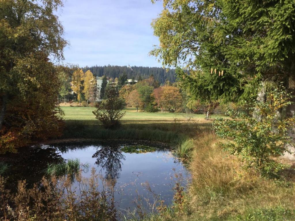 Apartment 358 Mit Sauna, Schwimmbad Und Fitness Schoenwald im Schwarzwald Exterior photo